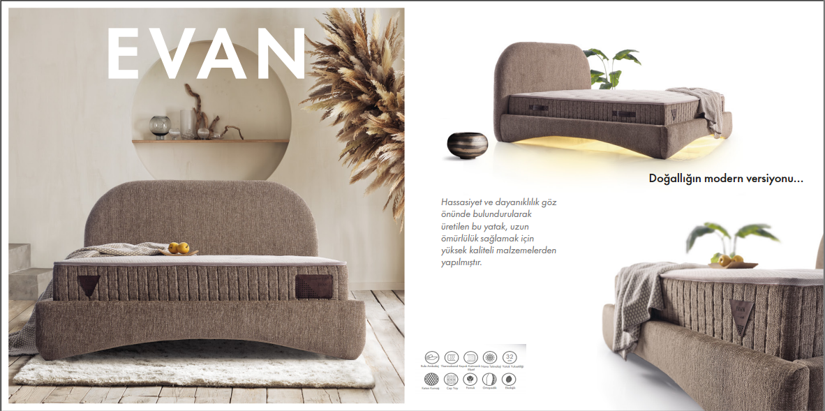 Evan-P Yatak ve Baza